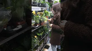 Магазин растений в Париже 🌿