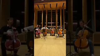 La La Land - Another Day of Sun☀️ (arr. for cello quartet)