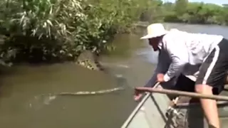 MAN GRABS GIANT Anaconda SNAKE