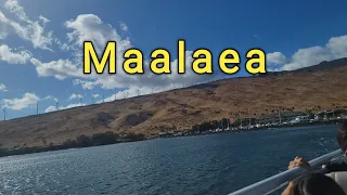 Maalaea Harbor Maui Hawaii Travel Tour near Kahului, Wailuku and Kihei