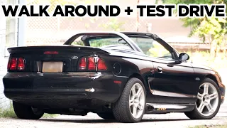 SN95 Mustang GT SVO Borla Side Exhaust Sound Review + Walk Around - 4.6 SOHC 1997