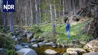 Wetter extrem - Hitzewellen und Wassermassen (2/3) | DIE REPORTAGE | NDR Doku