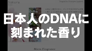 サクラ 【日本人のDNAに刻まれた香り】