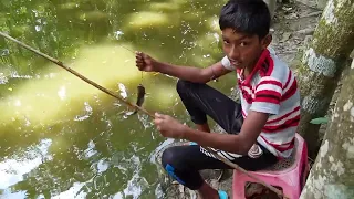 Small Single Hook Fishing | Big Pangasius Fishing | Catching The Pangasius Fishes