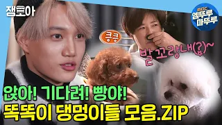 [나 혼자 산다] ❗심장주의❗ (간식만 있다면) 애교만점 댕댕이들 모음🐾 | #엠뚜루마뚜루 #개집사