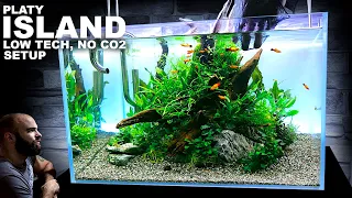 The Platy Island: Low Tech, No co2, Ecosystem Aquarium (Aquascape Tutorial)