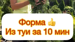 ФОРМА ИЗ ТУИ ЗА 10 минут.