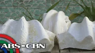 Rated K: Carlos Gayola recalls unearthing alleged giant pearls