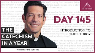 Day 145: Introduction to the Liturgy — The Catechism in a Year (with Fr. Mike Schmitz)