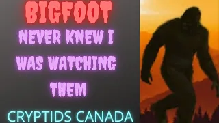 CC EPISODE 430 BIGFOOT NEVER KNEW I WAS WATCHING THEM