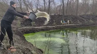 Пруд после зимы .Цветет вода в чем причина?