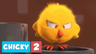 Where's Chicky? SEASON 2 | GRUMPY CHICKY | Chicky Cartoon in English for Kids