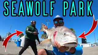 Zombie Bull Reds at Seawolf Park | Fishing with Beach Bomber Fishing