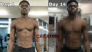 I Took Creatine For 14 Days Without Working Out