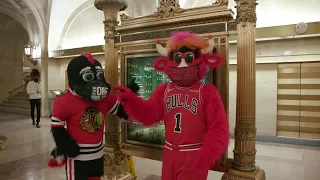 Benny The Bull And Tommy Hawk Visits Chicago Mayor Lori Lightfoot! 🏀🏑