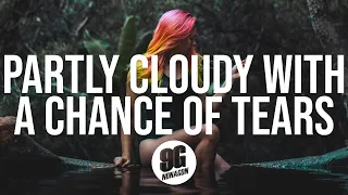 Skylar Grey - Partly Cloudy With a Chance of Tears (Lyrics)