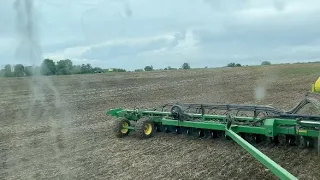 Planting corn & peas in the same field
