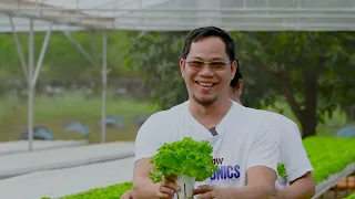 Largest NFT in Rizal EP 15 (HARVEST)