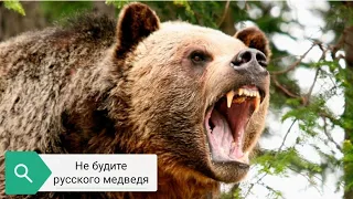 Не будите русского медведя.Патриотические стихи.