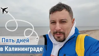 Пять дней в Калининграде. Септики, бассейны. Новый канал.