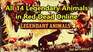 All 14 Legendary Animals in Red Dead Redemption 2 (All Cutscenes) Red Dead Online: Naturalist Role