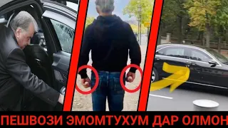 Эмомтухум-ро дар Олмон хуб пешвоз гирифтанд.😅