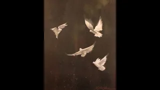 [FREE] Joey Bada$$ x 90s Boom bap Type Beat - "Birds" (prod. chais)