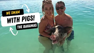 Swimming with PIGS in the Bahamas! Private Island | Great Stirrup Cay