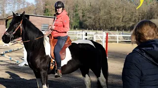 Stute lässt sich nur Gebisslos reiten, tritt nicht unter und lässt den Kopf nicht fallen