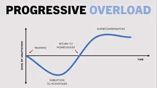 How to Progress Hypertrophy Training | Part 1: Progressive Overload