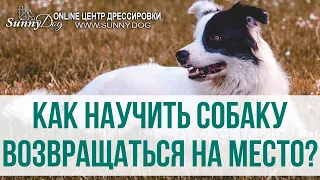 Как научить собаку команде "Место"? Как приучить собаку возвращаться на место?