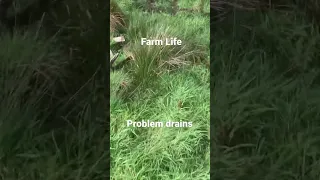 #farmlife #farmer #tractor #ireland #vlog