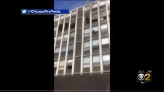 Cat Jumps 5 Floors From Burning Building