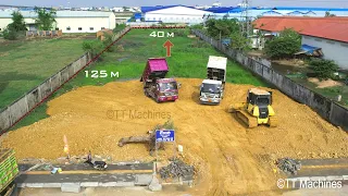 Updating Project Land Filling Up By Mini Dump Trucks & KOMATSU Bulldozer Pushing Soil