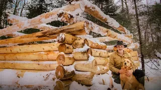 Building a Sauna with Frozen Logs | A Vanishing Way of Life | Hand Tools, Ep.12