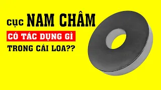 Tại sao Loa đài và Micro thu âm cần có cục Nam Châm?