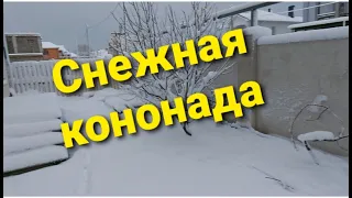 Анапу завалило снегом.