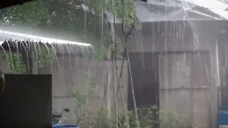 "Tranquil Rainfall: Finding Serenity Beneath the Rooftop Downpour"