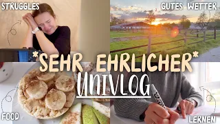 Realistischer Uni Vlog // *sehr ehrlich*, Hausarbeit beginnen, Tipps gegen schlechte Laune