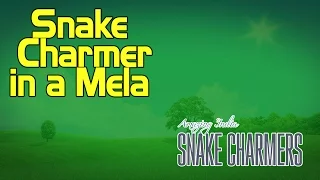 Snake Charmer in a Mela  (Album: Snake Charmers)