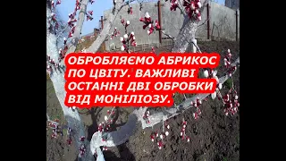 ОБРОБЛЯЄМО АБРИКОС ПО ЦВІТУ. ВАЖЛИВІ ОСТАННІ ДВІ ОБРОБКИ.