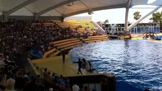 Orca Show - Loro Parque,Tenerife PART2