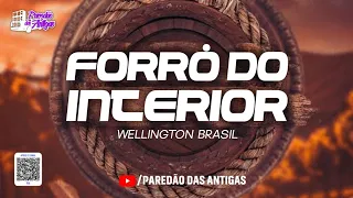 ✅️ FORRÓ DO INTERIOR - SÓ NA PISADINHA - WELLINGTON BRASIL (PISEIRO DO INTERIOR)
