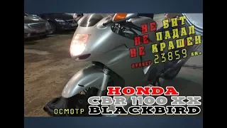 [Осмотр] Honda CBR 1100 XX Blackbird 1997г.