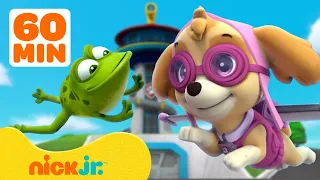 PAW Patrol Lookout Tower Animal Rescues! w/ Skye, Chase & Rocky | 1 Hour Compilation | Nick Jr.