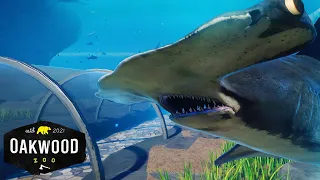 Working SHARK TUNNEL In Planet Zoo! 🦈 | Planet Zoo Mod Zoo Speedbuild