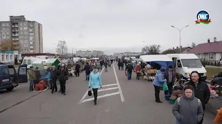 «Сад, огород, дача»: в Сморгони прошла весенняя ярмарка