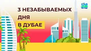 3 незабываемых дня в Дубае - путешествие и отдых с ТезТур