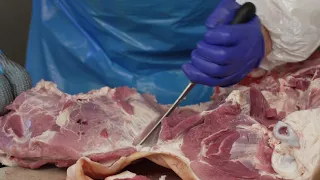 Profesionální řeznické nože - dělení masa