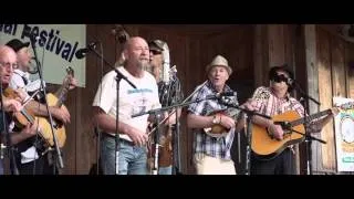 Strzelecki Stringbusters at Albert Hash Memorial Festival 2014